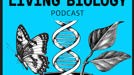 SEB Podcast logo.png