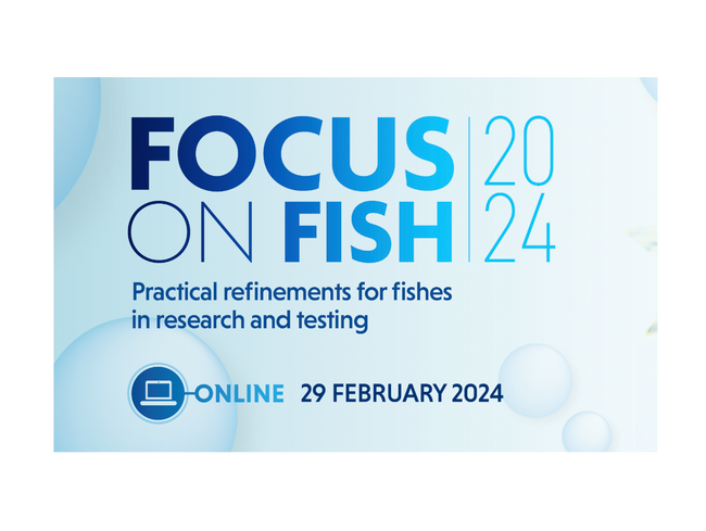 Focus on Fish 2024.png