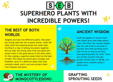 superhero-plants-with-incredible-powers.png