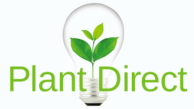 Plant_Direct.png