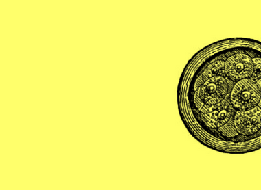 cell yellow.png