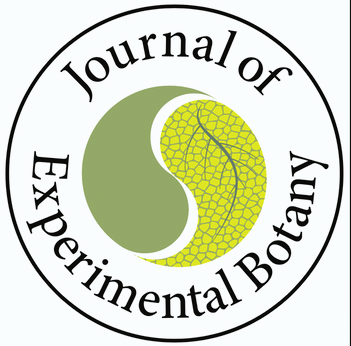 Screenshot 2026-04-07 102204.png