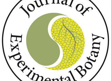 JXB stamp black copy.jpg 1