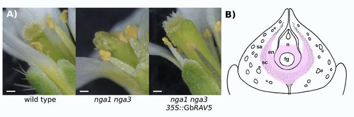 November 2025 TPJ Editor choice.jpg