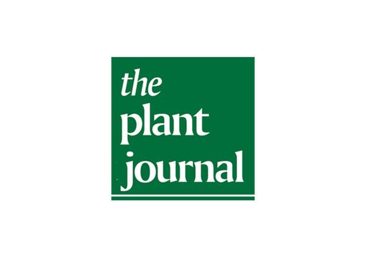 TPJ (Plant Journal) Cover.jpg