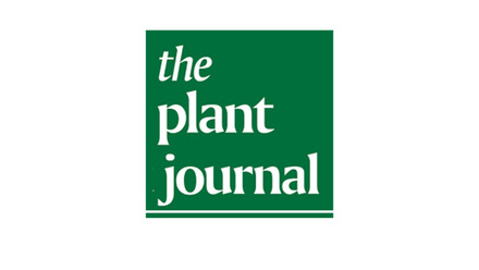 TPJ (Plant Journal) Cover.jpg