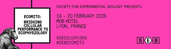 Eco-Mito-Main Banner_560x164px.jpg