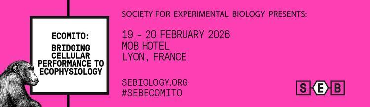 Eco-Mito-Main Banner_560x164px.jpg