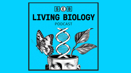 SEB Podcast banner.jpg