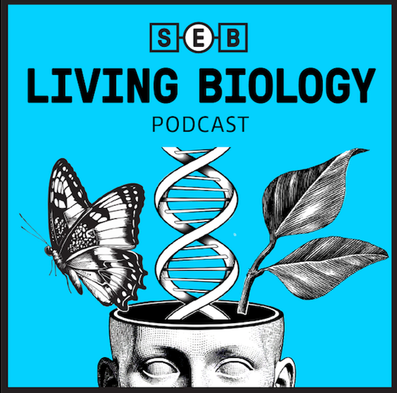 SEB Podcast logo.png