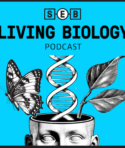 SEB Podcast logo.png