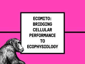 Eco mito symposium banner v2.jpg