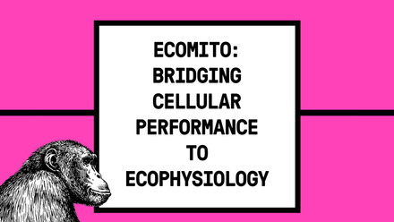 Eco mito symposium banner v2.jpg