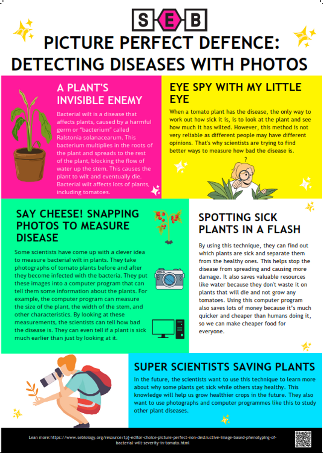 Please check section entitled 'Extended Alt Text of the Poster “Picture Perfect Defence: Detecting Diseases with Photos!”' for full description on the bottom of this page.