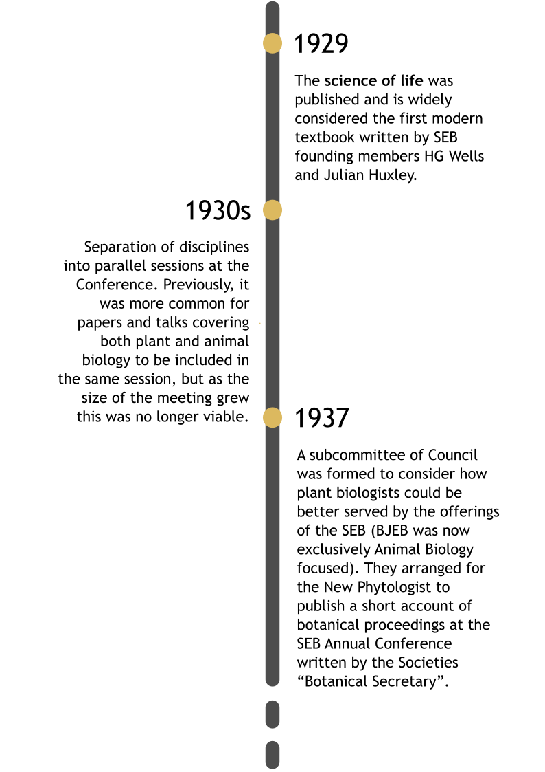 timeline-2-dots-ok.png 2