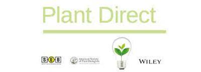 Plant Direct ad.jpeg