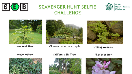 scavenger-hunt-picture-white-background-resized.png 3