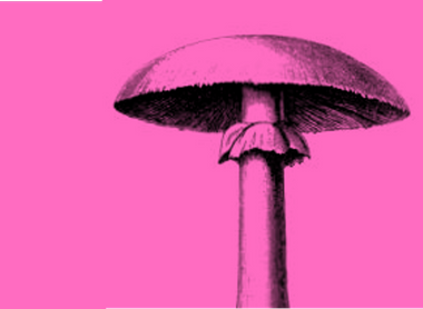 mushroom 2 pink.png