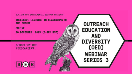 OED Webinar series 3.jpg