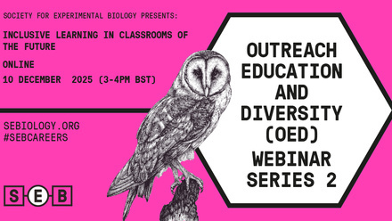 OED Webinar series 2.jpg