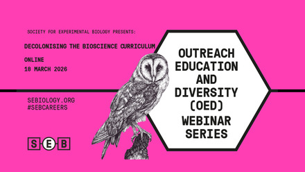 SEB_OED_WEBINAR  Decolonising copy.jpg 1