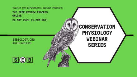 The Peer Review Process webinar v1.jpg