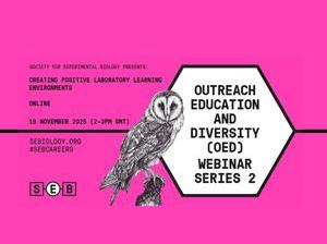 OED Webinar series 2.jpg