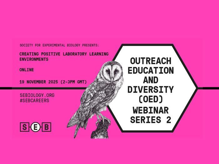 OED Webinar series 2.jpg