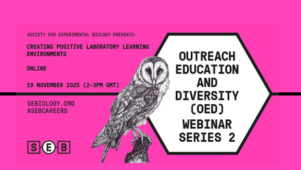OED Webinar series 2.jpg
