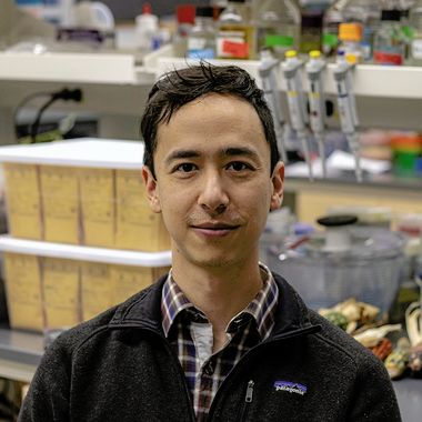 Prof. Sam Leiboff