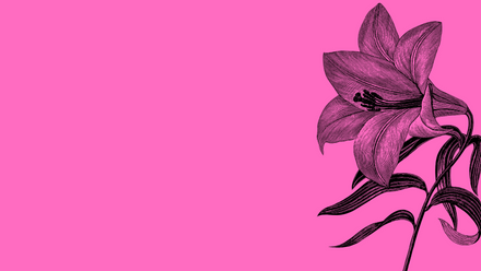 pink flower.png