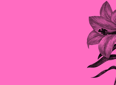 pink flower.png