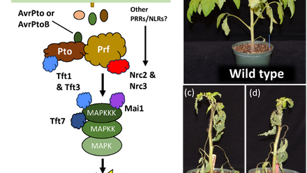 December 2023 TPJ Editor choice.png