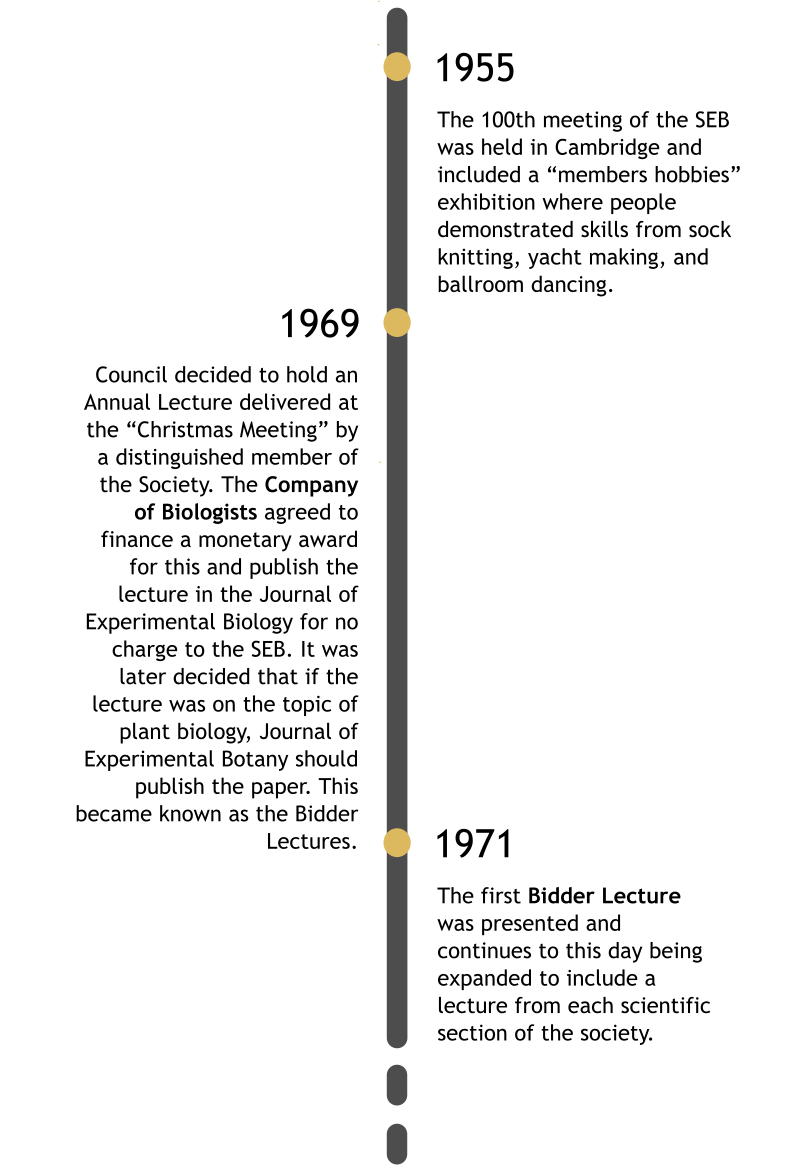 timeline-4-dots-ok.png 2