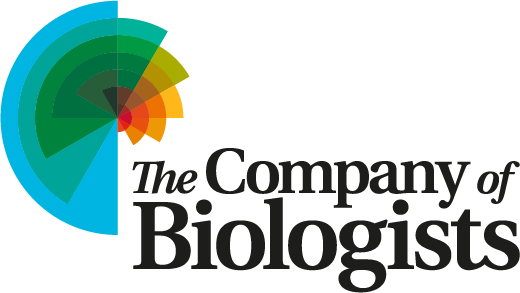 cob_logo_rgb_for-web-use.png