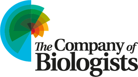 cob_logo_rgb_for-web-use.png