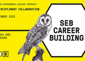 INTERDISCIPLINARY COLLABORATION - 2025.jpg