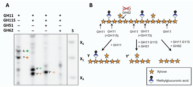 December 2025 TPJ Editor choice-.png