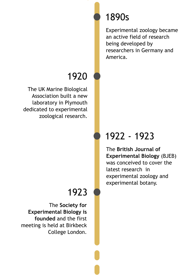 Timeline with the history of the SEB from 1890s to 2023. Please check section entitled "Extended Alt Text of the Timeline" for more information on the bottom of this page.