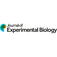 Apply Now for the Journal of Experimental Biology Science Communication Workshop | The Society for Experimental Biology (SEB)