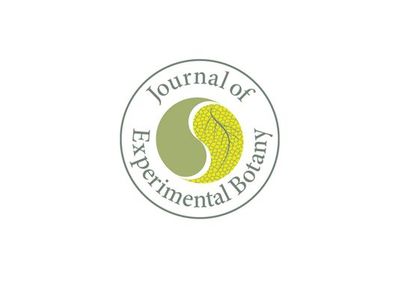 Journal of Experimental Botany | The Society for Experimental 