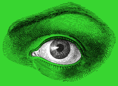 eye green 2026 .jpg