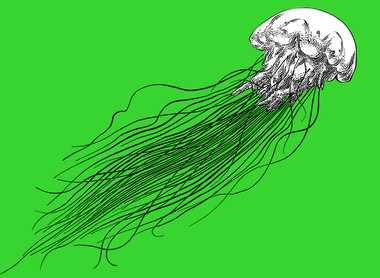 Animal green 2026.jpg