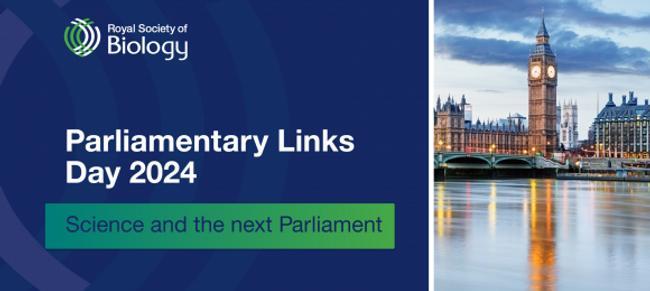 parliamentary link day 2024.jpeg