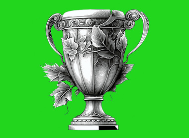 Awards - Drinks green 2026 .jpg