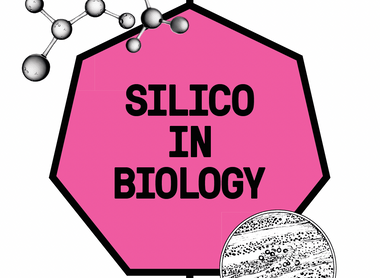 Silico in biology cover .png
