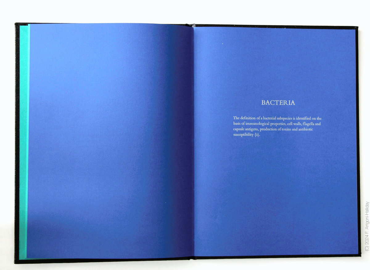 Bacteria
