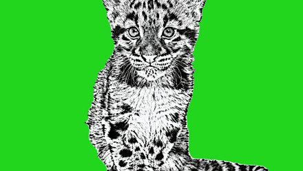 Creche green 2026.jpg