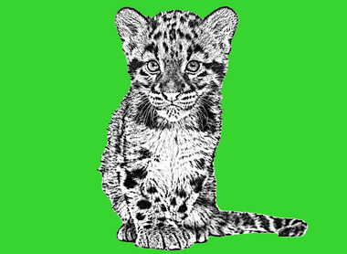 Creche green 2026.jpg