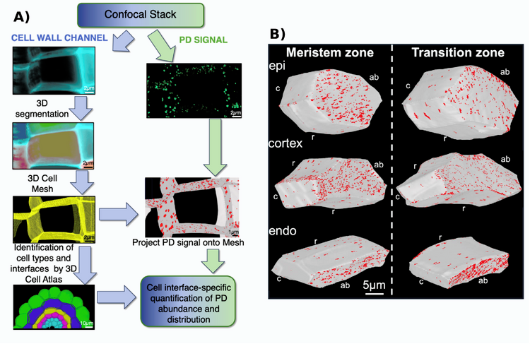 April 2026 TPJ Editor choice.png